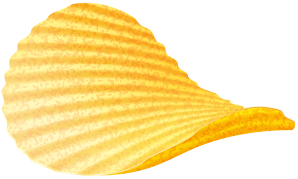 The Chip